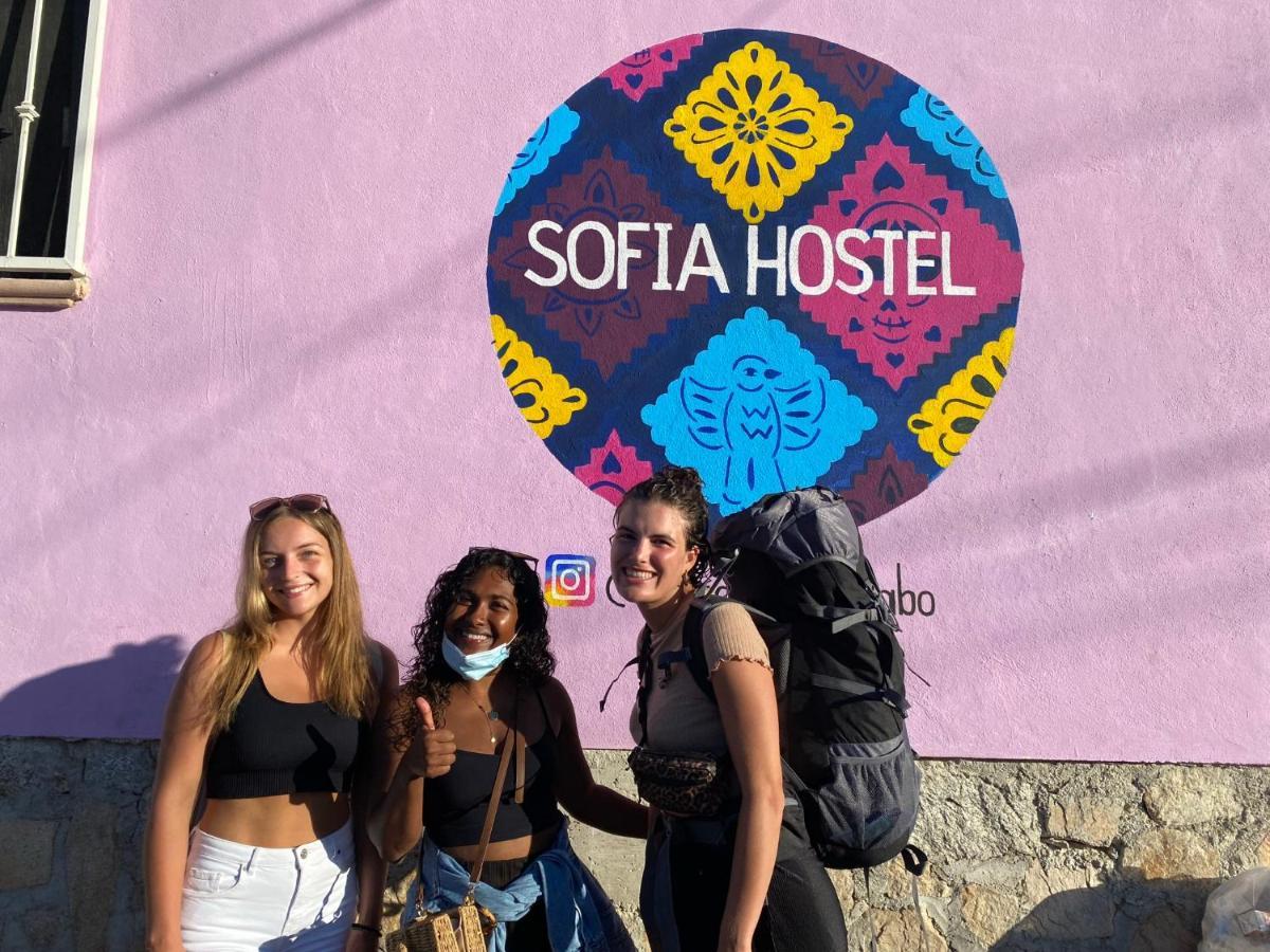 Sofia Hostel Cabo Кабо-Сан-Лукас Экстерьер фото